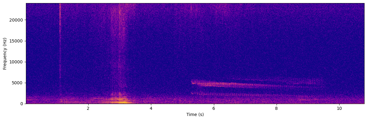 AudioMoth spectrogram