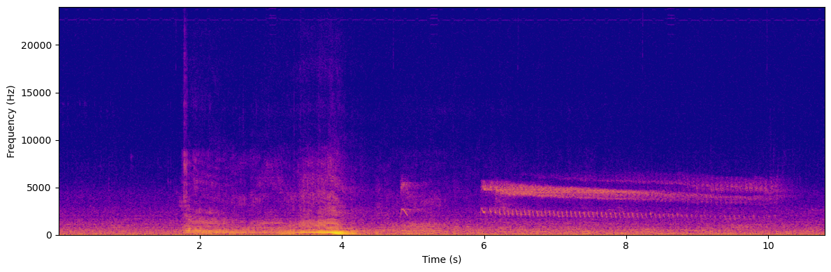 BuzzCam spectrogram